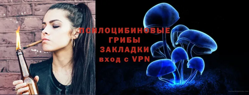 blacksprut tor  Ленинск  darknet клад  Псилоцибиновые грибы MAGIC MUSHROOMS 